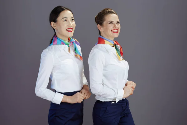 幸せなエレガントな女性客室乗務員ブルースカート 白いシャツとスカーフグレーの背景に隔離された距離を調べる — ストック写真