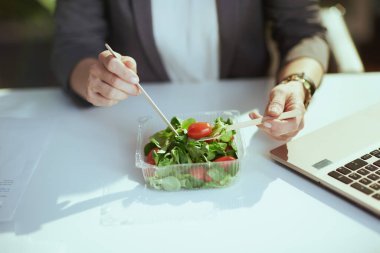 Sürdürülebilir iş yeri. Yeşil ofiste dizüstü bilgisayarla salata yiyen kadın çalışana yakın çekim..