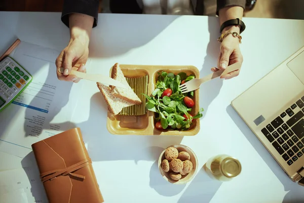 Sürdürülebilir Yeri Yeşil Ofiste Dizüstü Bilgisayarla Salata Yiyen Muhasebeci Kadının — Stok fotoğraf