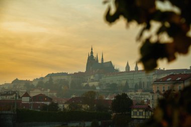 Günbatımında St. Vitus Katedrali ile manzara Prag, Çek Cumhuriyeti 'nde sonbaharda yaprakların arasından çekildi..