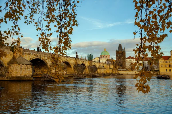 Krajobraz Wełtawy Rzeki Mostu Karola Wieczorem Strzał Przez Liście Jesienią — Zdjęcie stockowe