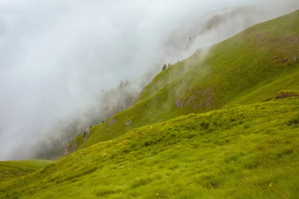Hora Verão Dolomitas Paisagem Com Grama Nevoeiro — Fotografia de Stock