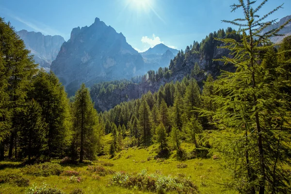 Dolomitlerde Yaz Zamanı Dağlarla Çayırlarla Ağaçlarla Dolu Bir Manzara — Stok fotoğraf