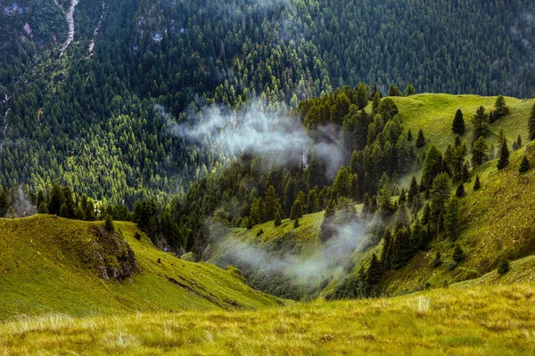 Hora Verano Dolomitas Paisaje Con Colinas Bosque Niebla — Foto de Stock