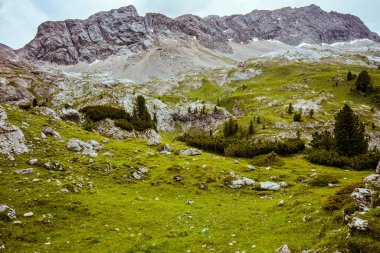 Dolomitlerde yaz zamanı. Dağları, bulutları, kayaları ve ağaçları olan manzara.