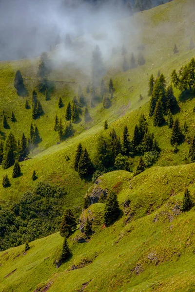 Hora Verano Dolomitas Paisaje Con Colinas Árboles Niebla — Foto de Stock