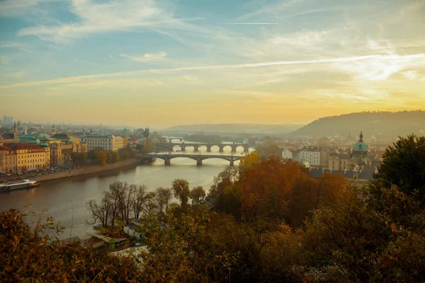 在捷克共和国布拉格 黄昏时分 有Vltava河和查尔斯桥的风景在树叶间穿梭流淌 — 图库照片