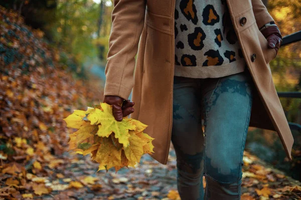 穿着褐色外套 头戴秋天黄色叶子的女性在城市公园外散步时穿的衣服 — 图库照片