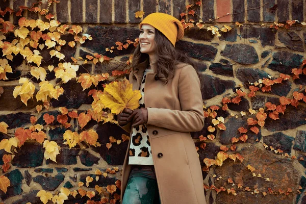 가을에 거리에 가을노란 나뭇잎이 코트와 노란색 모자를 — 스톡 사진