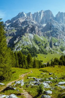 Dolomitlerde yaz zamanı. Dağlarla, kayalarla, ağaçlarla ve patikalarla.