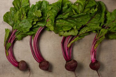 Pancar köklü sonbahar arkaplanı.