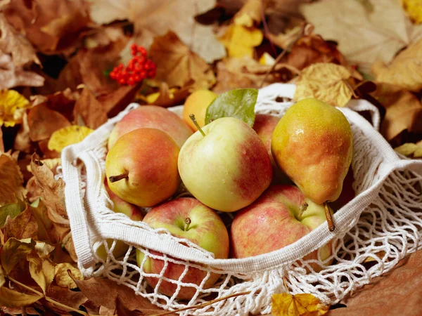 Autumn Background Apples Pears Leaves Eco Bag — Stock Photo, Image