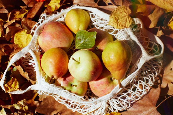 Φθινοπωρινό Φόντο Μήλα Αχλάδια Φύλλα Και Οικολογική Τσάντα — Φωτογραφία Αρχείου