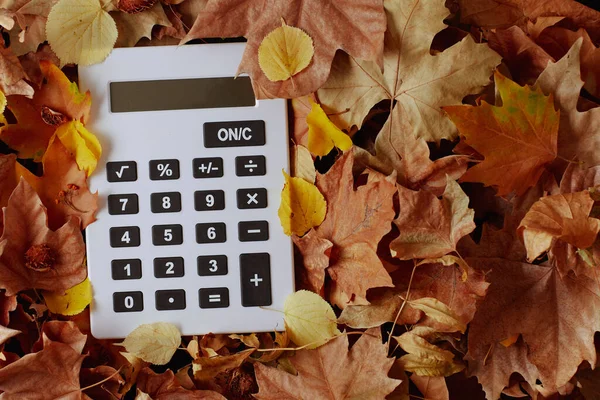 Autumn Background Calculator Leaves — Stock Photo, Image