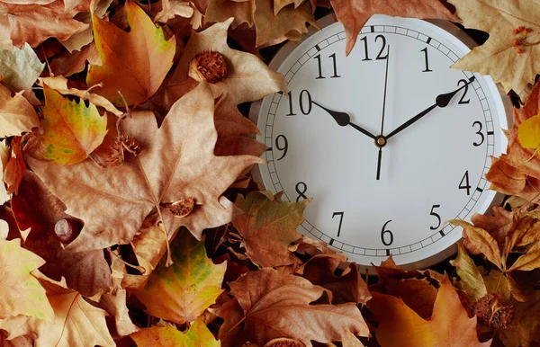 秋天的平坦地 挂满了时钟和树叶 — 图库照片