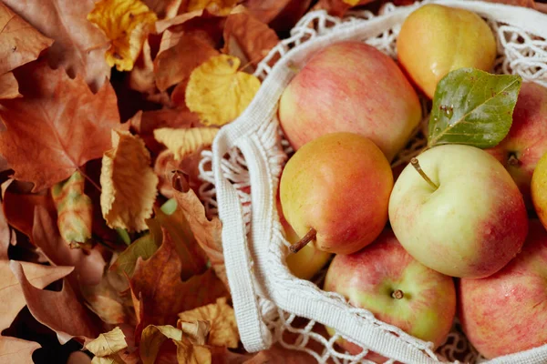 秋天的扁平地躺着苹果 叶子和生态袋 — 图库照片