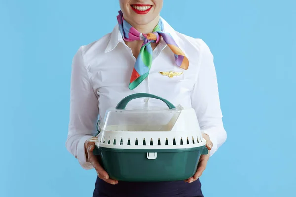 Closeup Smiling Elegant Flight Attendant Woman Blue Background Uniform Pet — Stock Photo, Image