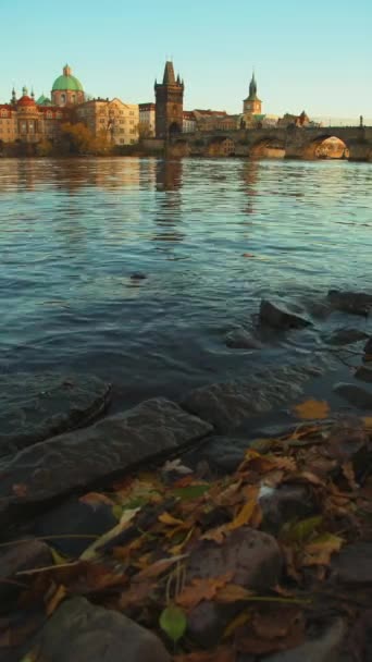 Τοπίο Vltava Ποταμού Και Charles Bridge Βράδυ Του Φθινοπώρου Στην — Αρχείο Βίντεο