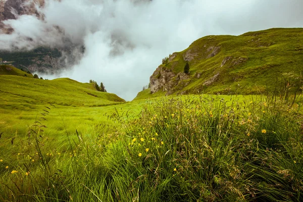 Dolomitlerde yaz zamanı. Çayır ve sisli manzara.