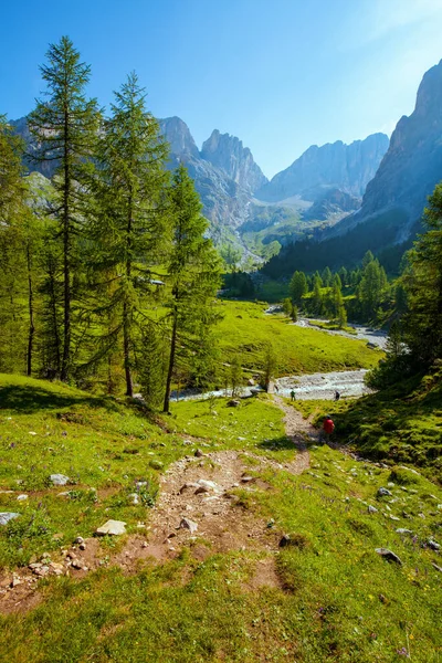 Heure Été Dans Les Dolomites Paysage Avec Montagnes Arbres Sentiers — Photo