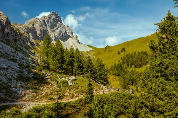 Heure Été Dans Les Dolomites Paysage Avec Montagnes Nuages Arbres — Photo