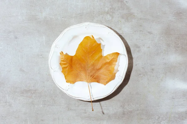 autumn flat lay on a concrete background with autumn leaf and plate.