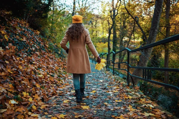 Здравствуйте Ноябрь Сзади Женщина Коричневом Пальто Жёлтой Шляпе Осенью Жёлтыми — стоковое фото