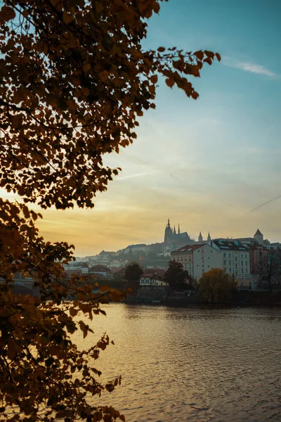 在捷克共和国布拉格 黄昏时分 有Vltava河和St Vitus主教座堂的风景从树叶中喷涌而出 — 图库照片