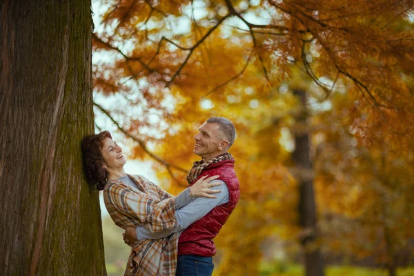 こんにちは秋 木の近くで抱擁する公園のロマンチックな家族の笑顔 — ストック写真
