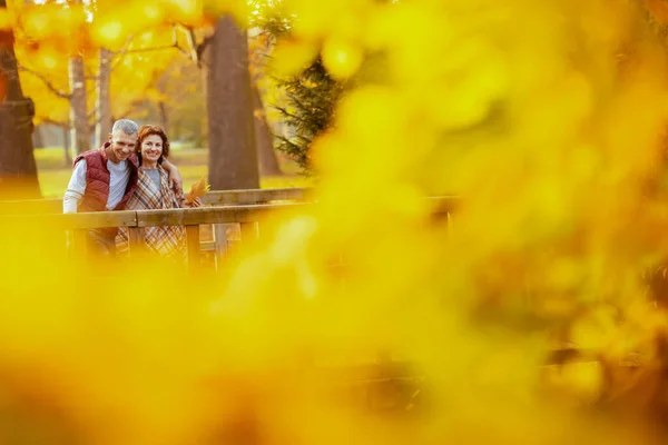 Hello Autumn Smiling Stylish Couple Park Walking Bridge — Stock Photo, Image