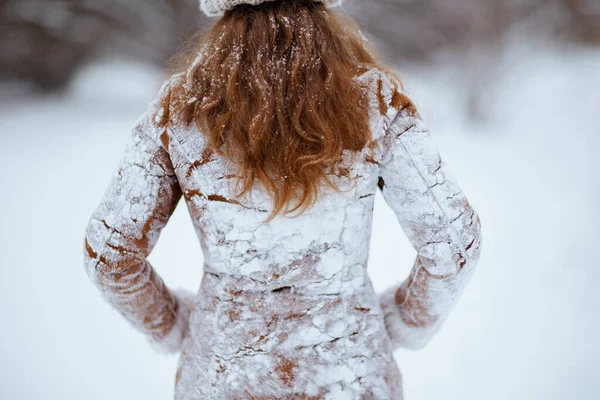 冬に街の外の雪の服や羊の皮のコートで茶色の帽子やスカーフの後ろの女性から見た — ストック写真