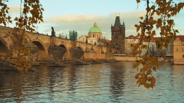 Landscape Vltava River Charles Bridge Evening Shotted Foliage Autumn Prague — Stock Video