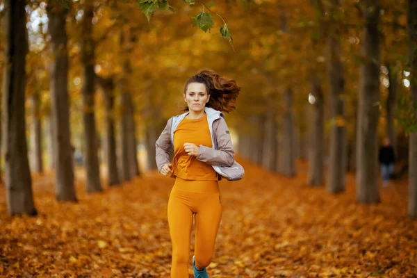 Γεια Σου Φθινόπωρο Νεαρή Γυναίκα Ρούχα Γυμναστικής Στο Πάρκο Τζόκινγκ — Φωτογραφία Αρχείου
