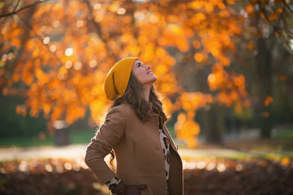 城市公园里穿着棕色外套 头戴黄色帽子 面带微笑的优雅女人 — 图库照片