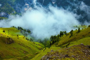 Dolomitlerde yaz zamanı. Tepeli, ağaçlı ve sisli manzara.