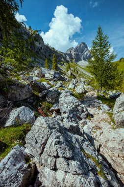Dolomitlerde yaz zamanı. Dağları, bulutları, kayaları ve ağaçları olan manzara.