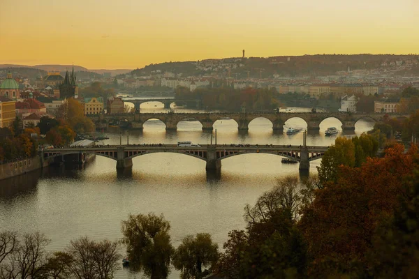 在捷克共和国布拉格 与弗尔塔瓦河和卡洛夫河交汇的风景在落日的时候流经树叶 — 图库照片