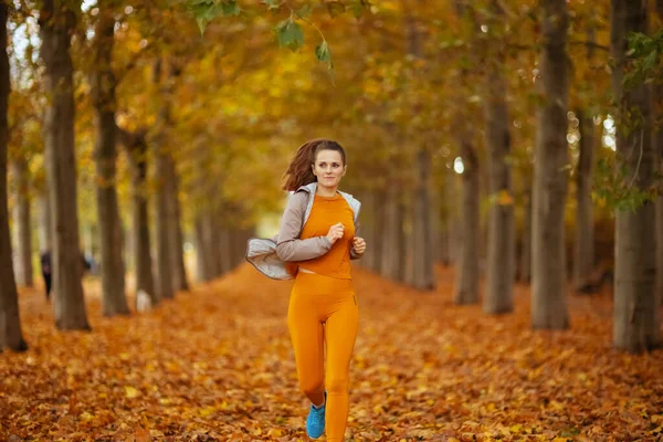 Merhaba Sonbahar Parkta Spor Kıyafetleri Içinde Şık Bir Bayan Koşuyor — Stok fotoğraf