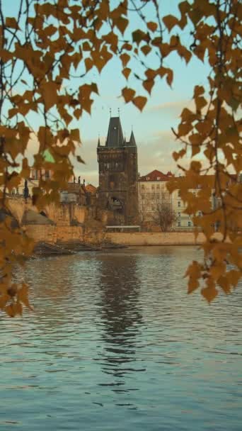 ヴルタヴァ川とカルロフとの風景ほとんどの夜は プラハ チェコ共和国の秋の紅葉を通して撮影 — ストック動画