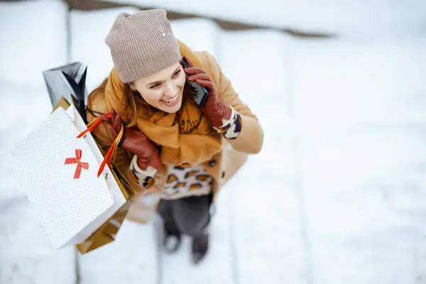 上图是冬天穿着棕色帽子 头戴围巾 头戴手套 头戴购物袋 面带微笑的优雅女人在城外用智能手机说话的景象 — 图库照片