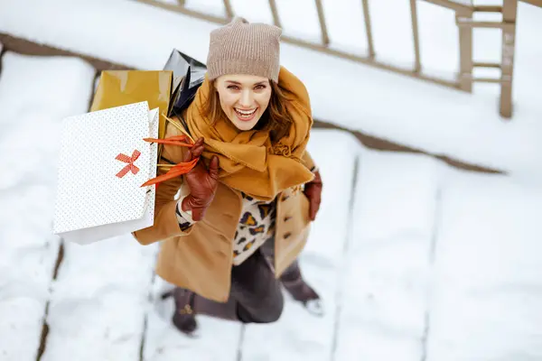 上图是冬天穿着棕色帽子 头戴围巾 头戴购物袋的优雅女人在城外购物的照片 — 图库照片