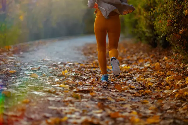 Merhaba Sonbahar Parkta Koşan Spor Elbiseli Bir Kadına Yaklaş — Stok fotoğraf
