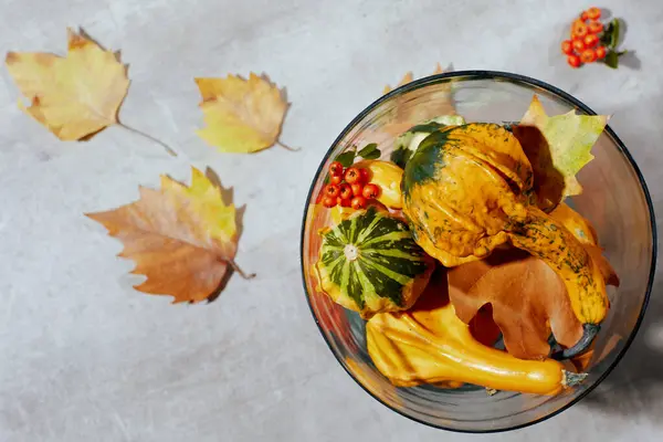 autumn flat lay on a concrete background with pumpkins, autumn leaves and autumn leaf.