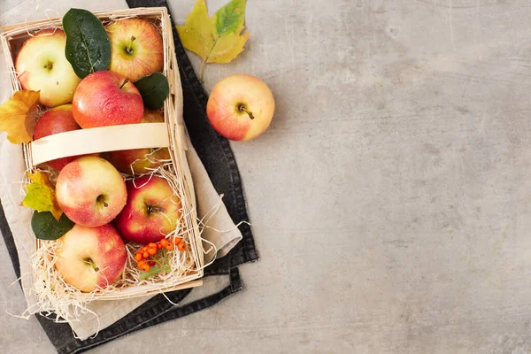 autumn flat lay on a grey background with apples, basket, autumn leaves and autumn leaf.
