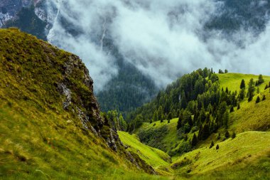 Dolomitlerde yaz zamanı. Dağlı, tepeli, kayalıklı, ağaçlı ve sisli manzara.