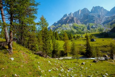 Dolomitlerde yaz zamanı. Dağlarla, çayırlarla, kayalarla ve ağaçlarla dolu bir manzara..