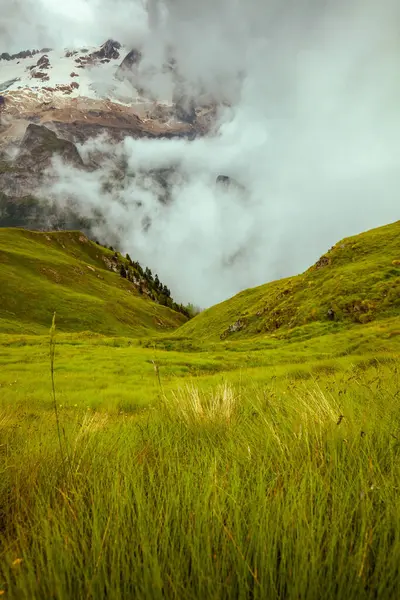 Summer Time Dolomites Landscape Mountains Grass Fog — Stock Photo, Image