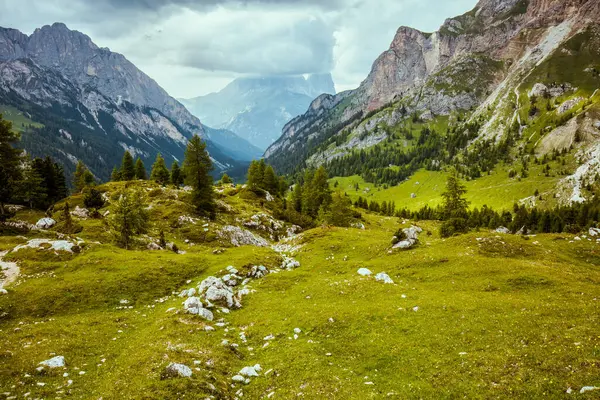 Dolomitlerde Yaz Zamanı Dağları Tepeleri Bulutları Kayaları Ağaçları Olan Manzara — Stok fotoğraf