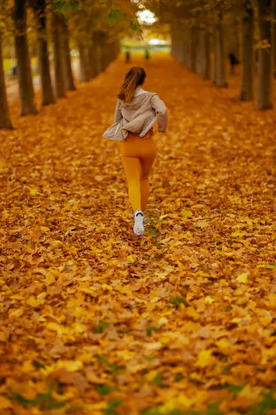 Olá Outono Visto Por Detrás Uma Mulher Vestida Fitness Parque — Fotografia de Stock