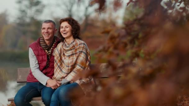 Sourire Couple Élégant Dans Parc Avoir Plaisir Tout Étant Assis — Video